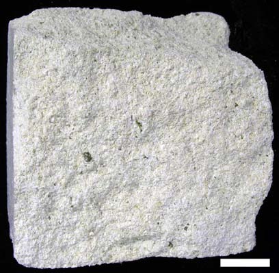 Diferentes tipos de rocas calizas