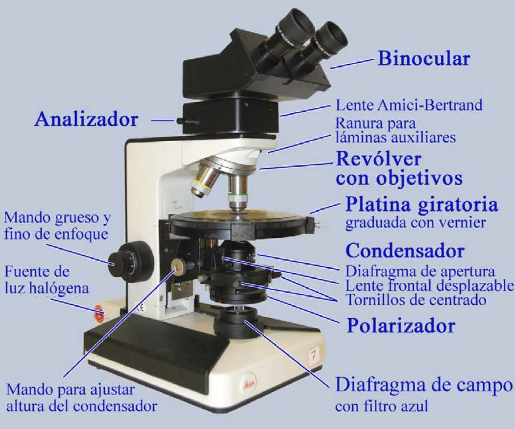 Microscopio petrográfico para el estudio de minerales y rocas